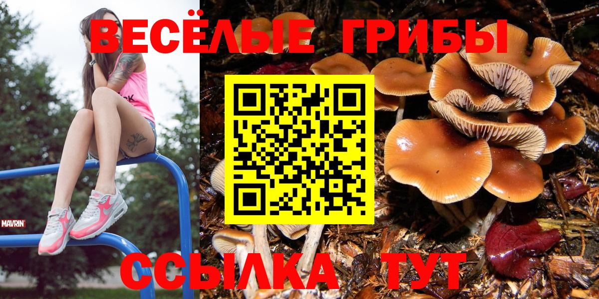 Галлюциногенные грибы Cubensis Липецк